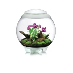 NA Oase terrarium décoratif 60l avec cadre blanc - air 60 white Discount