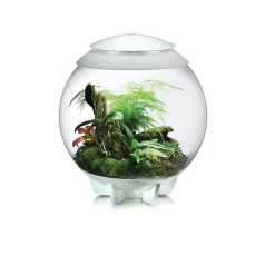 NA Oase terrarium décoratif 60l avec cadre blanc - air 60 white Discount