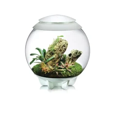NA Oase terrarium décoratif 60l avec cadre blanc - air 60 white Discount