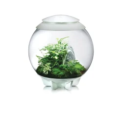 NA Oase terrarium décoratif 60l avec cadre blanc - air 60 white Discount