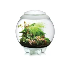 NA Oase terrarium décoratif 60l avec cadre blanc - air 60 white Discount