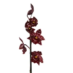 NA Orchidée Cambria 2 tiges - pot D.12 cm New
