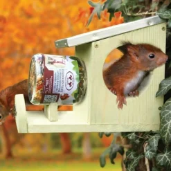NA Oiseaux Du Jardin | Pack abris + nourriture pour écureuils