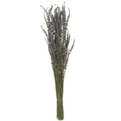 Paris Prix Bouquets De Fleurs | - Bouquet de fleurs séchées "lavande" 73cm mauve