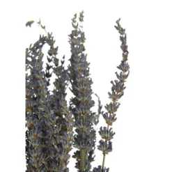 Paris Prix Bouquets De Fleurs | - Bouquet de fleurs séchées "lavande" 73cm mauve