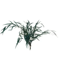 Paris Prix Bouquets De Fleurs | - Bouquet d'eucalyptus "sauvage séché" 75cm vert
