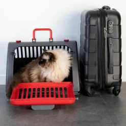 Paris Prix Paniers, Transports Et Chatières | - Caisse de transport pour chat 