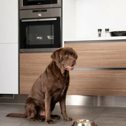 Paris Prix Gamelles Et Autres Accessoires | - Gamelle pour chien & chat