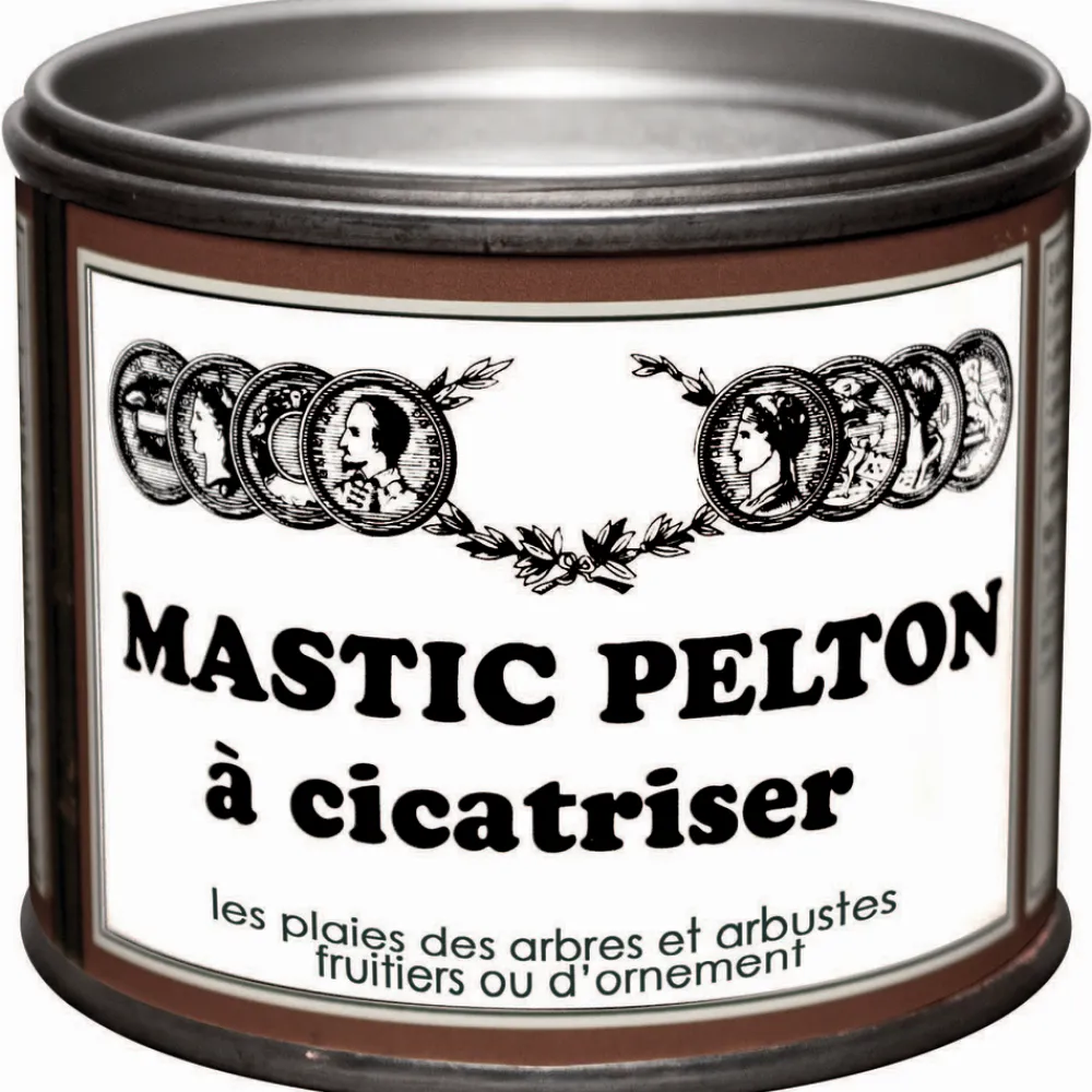 Pelton Traitement Et Pulvérisation | - Mastic à cicatriser, 195g