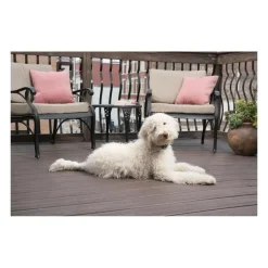 Petsafe Education | - Pbc19-16448 collier anti-aboiement lite pour chien