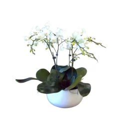 NA Phalaenopsis blanc 4/5 tiges : en coupe de D.18cm/H.50cm New