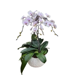 NA Orchidées | Phalaenopsis rose 4 tiges XL : en coupe de D.27cm/H.85cm