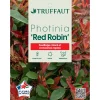 NA Plantes De Haies | Photinia 'Red Robin' : pot 15L