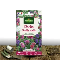 Plantes Avenue Graines De Fleurs | - Graines de clarkia elegans double en mélange - vilmorin/[-]sachet
