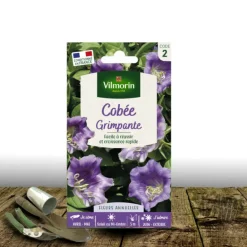 Plantes Avenue - Graines de cobée grimpante bleue - vilmorin/[-]sachet Hot
