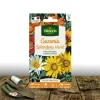 Plantes Avenue - Graines de gazania splendens varié - vilmorin/[-]sachet Best