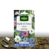 Plantes Avenue - Graines de nigelle de damas - vilmorin/[-]sachet Clearance