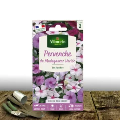 Plantes Avenue Graines De Fleurs | - Graines de pervenche de madagascar - vilmorin/[-]sachet