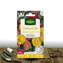 Plantes Avenue - Graines d'immortelle à bractées double variée - vilmorin/[-]sachet Online