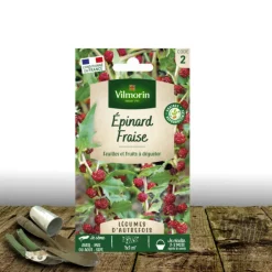Plantes Avenue - Graines d'épinard fraise - sans traitement - vilmorin/[-]sachet Best