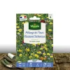 Plantes Avenue Graines De Fleurs | - Graines en mélange de fleurs - fleurs résistantes à la sécheresse/[-]sachet - 10 m²