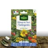 Plantes Avenue Graines De Fleurs | - Graines en mélange de fleurs - fleurs flamboyant/[-]sachet - 10 m²
