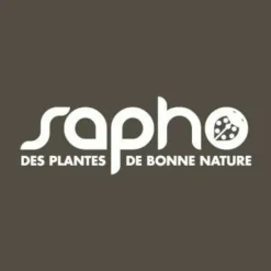 Plantes Avenue Plantes De Terre De Bruyère | - Hortensia paniculata pastelgreen® 'rencolor'/[-]pot de 1,5l - 10/20 cm