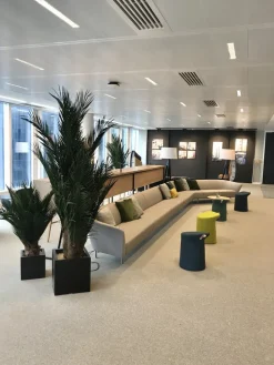 Plantestabilisée.com Palmiers D’Intérieur | PLANTESTABILISÉE.COM - Palmier base phoenix naturel stabilisé - palmier stabilisé - palmier d'intérieur - 100 cm