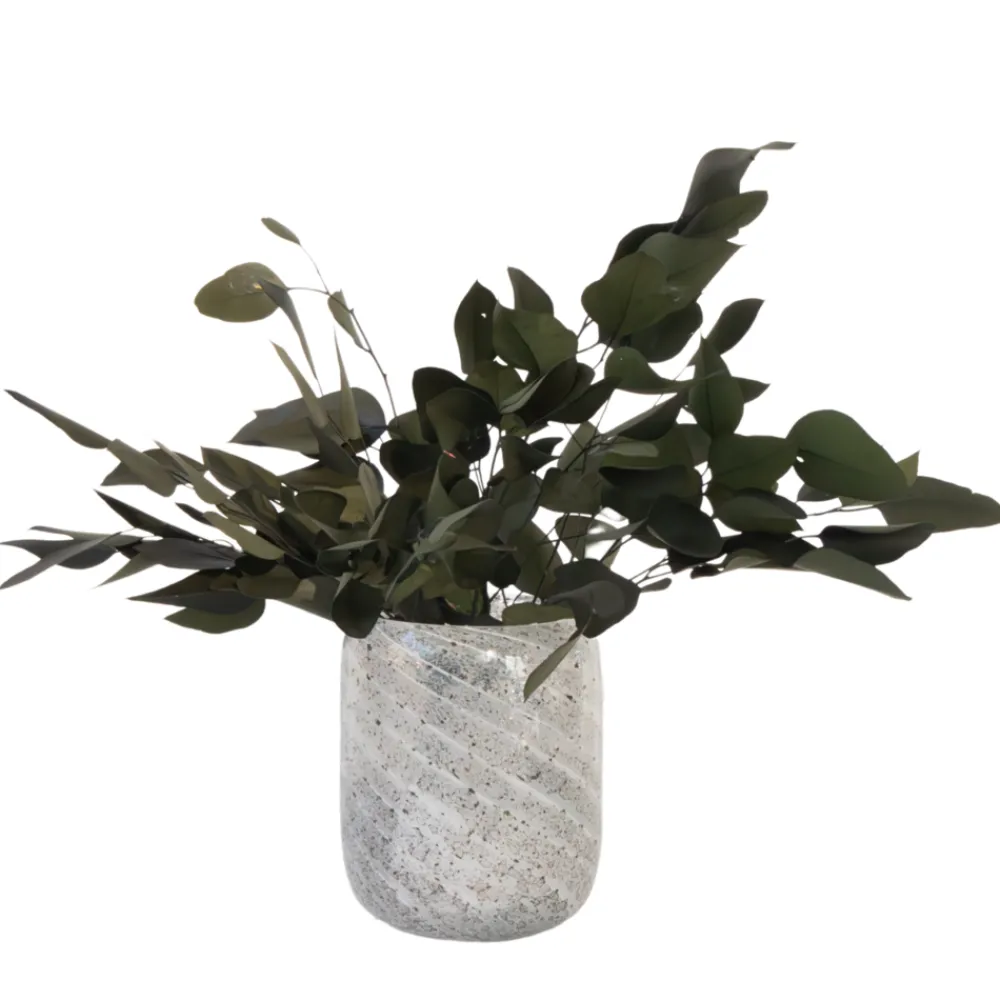Plant In A Box - Bouquet de fleurs sèches - eucalyptus stuartiana Online