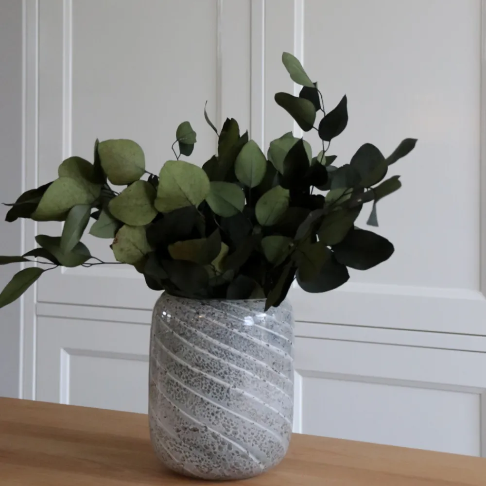 Plant In A Box - Bouquet de fleurs sèches - eucalyptus stuartiana Online