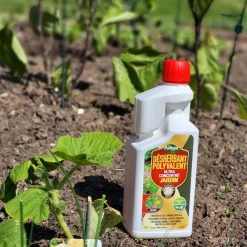Portland - Désherbant biocontrôle concentré jardin 1l Sale