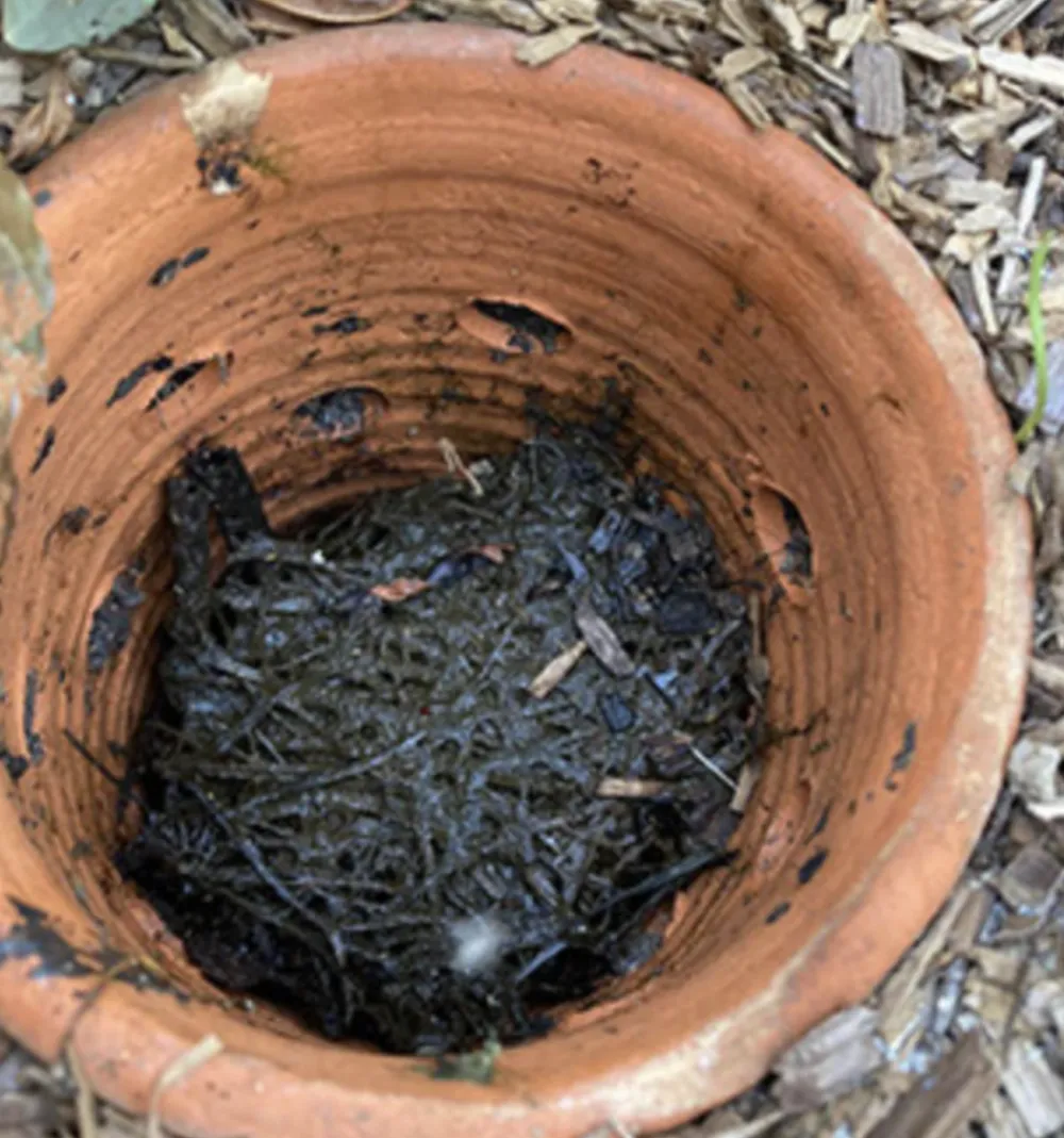 Poterie Jamet - Lombricomposteur à enterrer - 0,8 l Discount