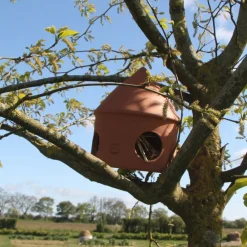 Poterie Lutton - Mangeoire à oiseaux artisanal Outlet