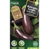Protecta Graines De Légumes Et Aromatiques | - Graines paysannes - aubergine violette de barbentane