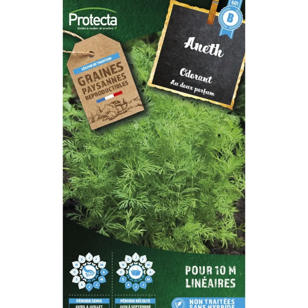 Protecta - Graines paysannes - aneth odorant Best