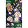 Protecta - Graines paysannes - belle de jour variée Sale