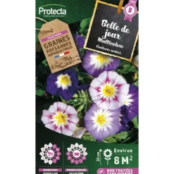 Protecta - Graines paysannes - belle de jour variée Sale