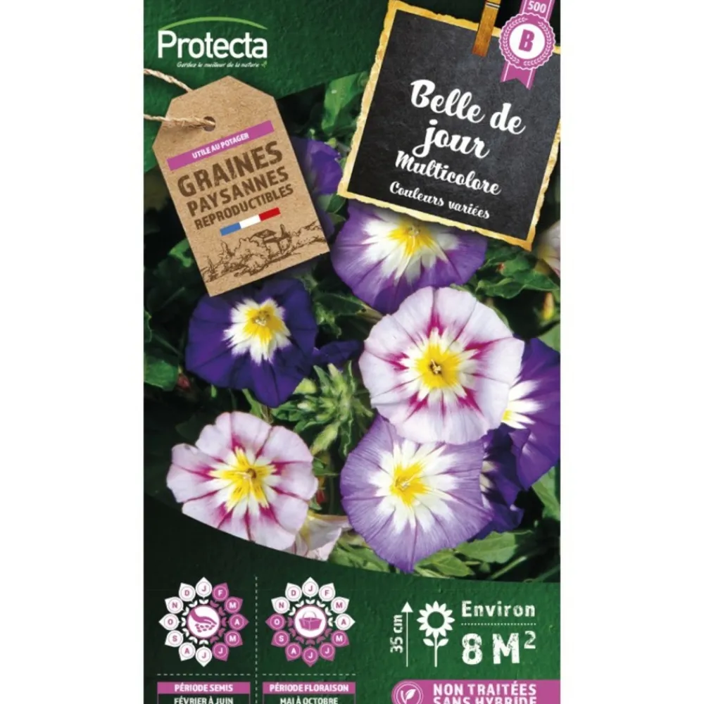 Protecta - Graines paysannes - belle de jour variée Sale