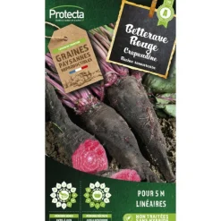 Protecta - Graines paysannes - betterave crapaudine
