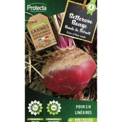 Protecta - Graines paysannes - betterave de detroit Best
