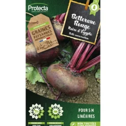 Protecta Graines De Légumes Et Aromatiques | - Graines paysannes - betterave noire d'egypte