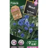 Protecta - Graines paysannes - bleuet des champs Discount