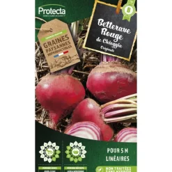 Protecta Graines De Légumes Et Aromatiques | - Graines paysannes - betterave ronde de chioggia