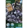 Protecta Graines De Légumes Et Aromatiques | - Graines paysannes - basilic pourpre opal