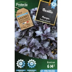 Protecta Graines De Légumes Et Aromatiques | - Graines paysannes - basilic pourpre opal