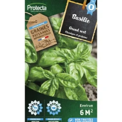 Protecta - Graines paysannes - basilic genovese grand vert Outlet
