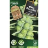 Protecta - Graines paysannes - chou de bruxelles sanda Outlet