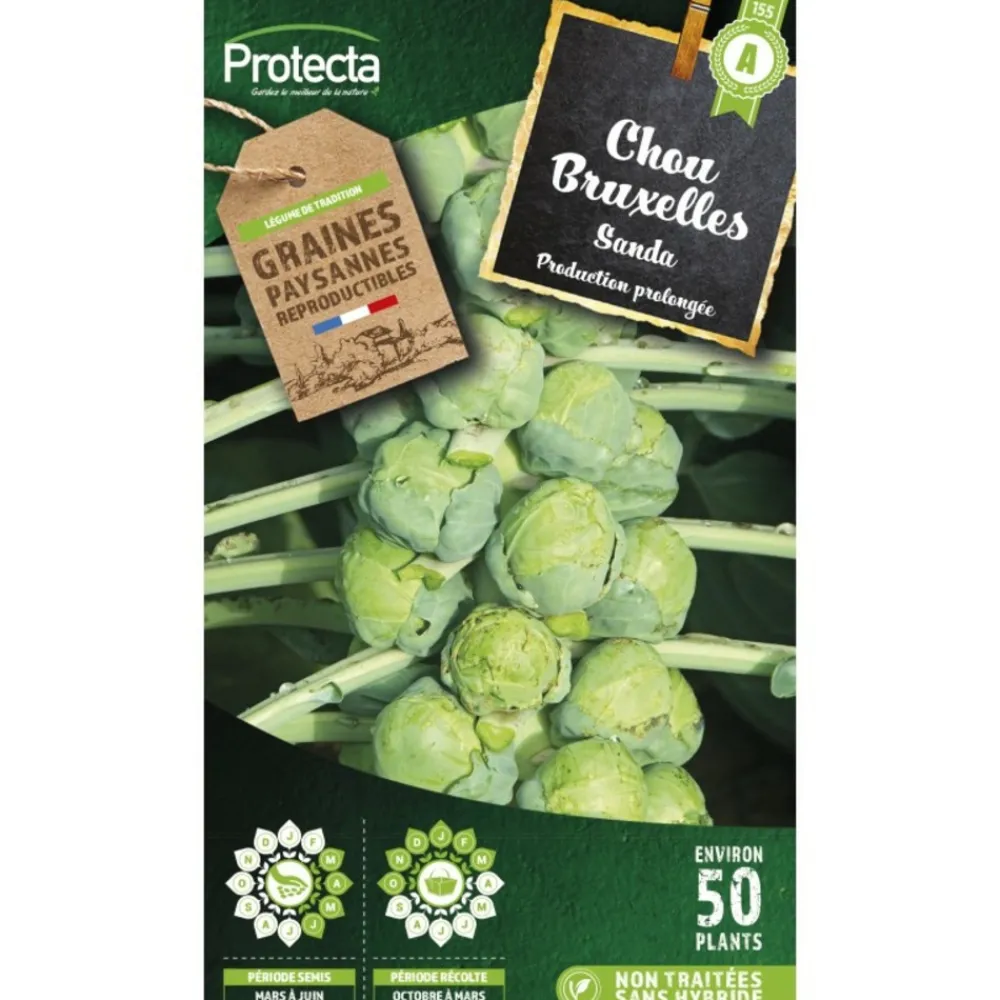 Protecta - Graines paysannes - chou de bruxelles sanda Outlet