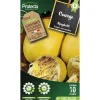 Protecta - Graines paysannes - courge spaghetti Hot