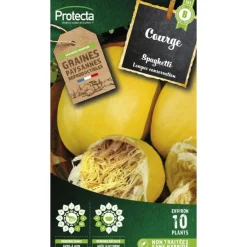 Protecta - Graines paysannes - courge spaghetti Hot